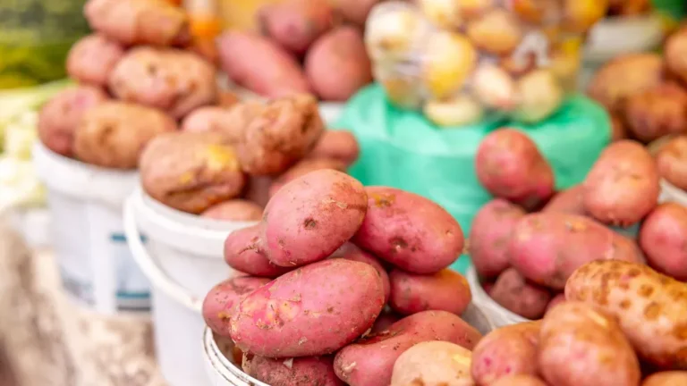 How Do You Tell If A Potato Is Waxy Or Floury?