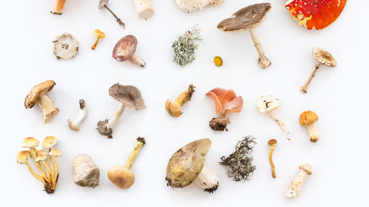 Should You Eat While On Shrooms?