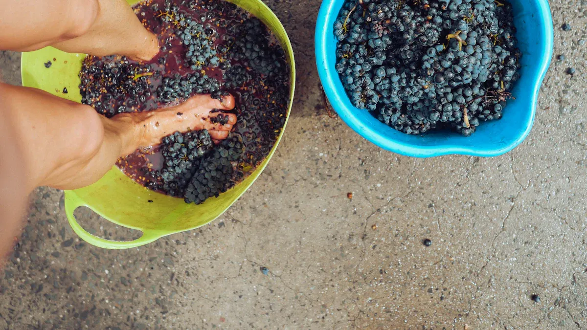Grape Must in Winemaking