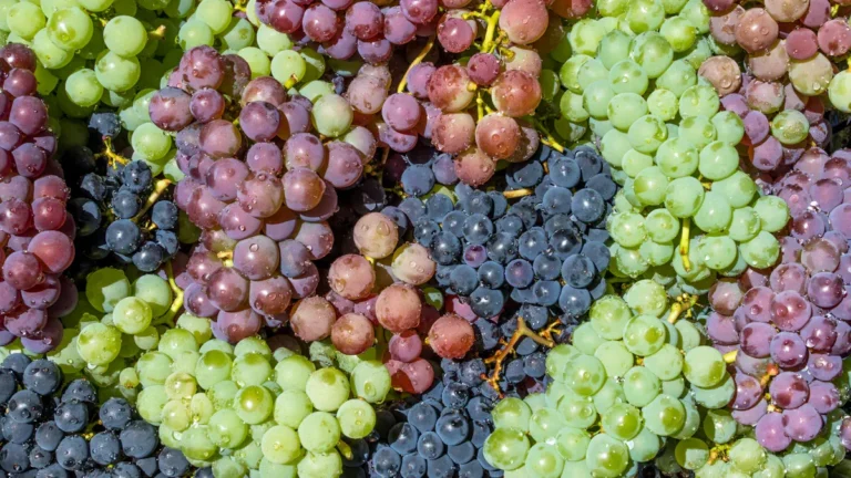 What Is Grape Must Used For?