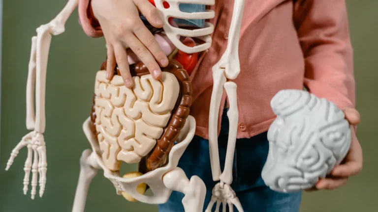 Can You Eat Before Bottoming?