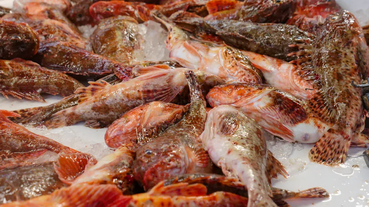 Signs Shrimp Has Gone Bad