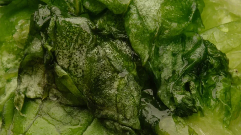 How to Cook Broccoli Leaves