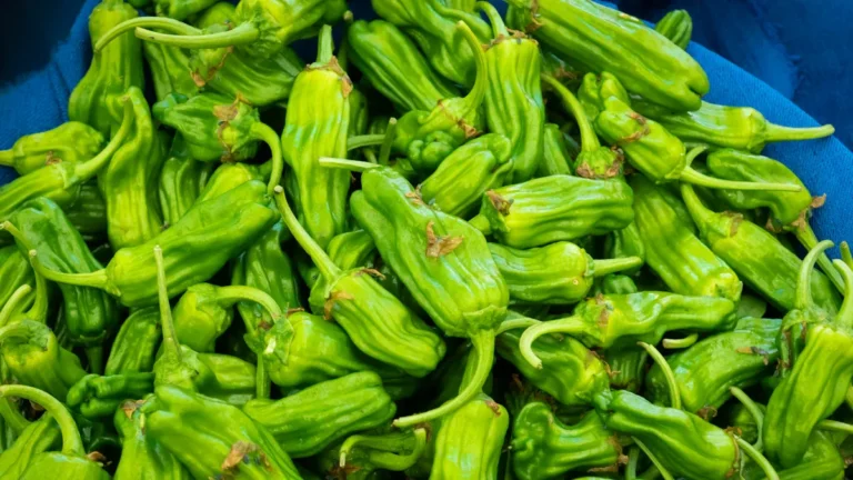 Can You Eat Shishito Pepper Seeds?