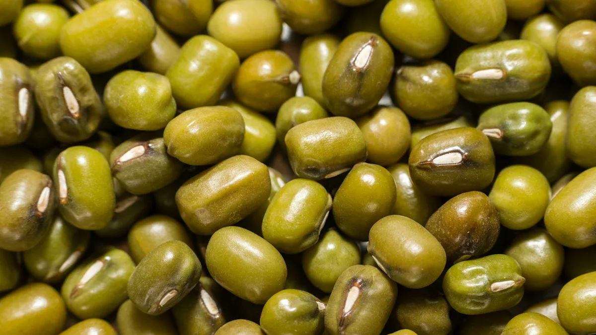 High-Fiber Foods for Fullness