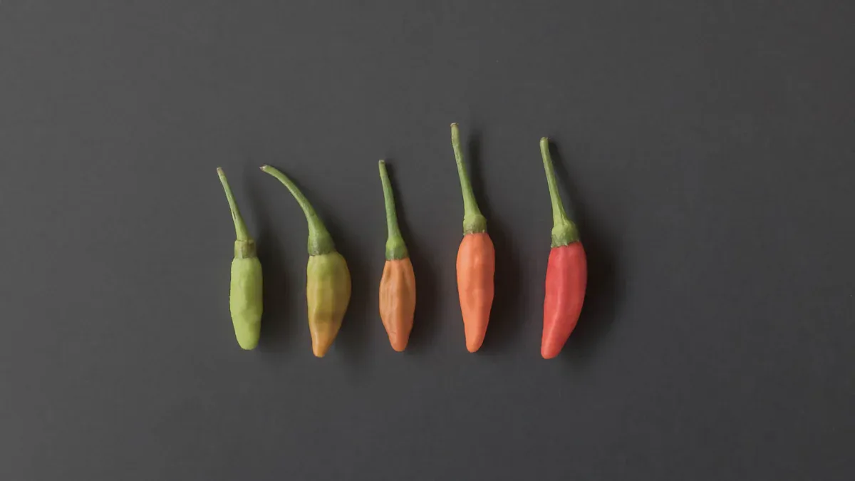 Spicy Chili Variations