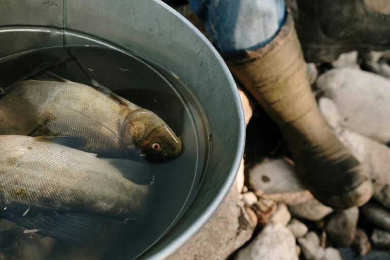 fishing and hunting techniques